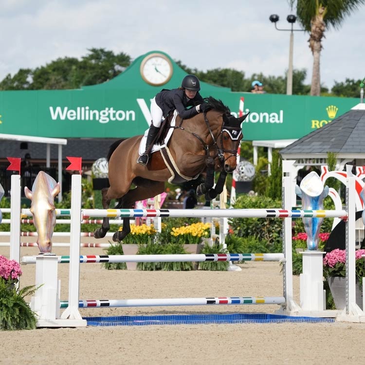 Sport and Performance Psychology for Equestrian Athletes